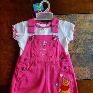 Pink 100 Acre Wood collection girls overall Set.